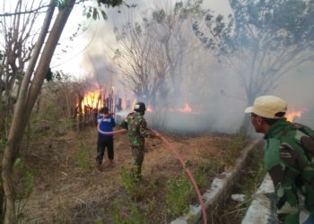 kebakaran doroncanga