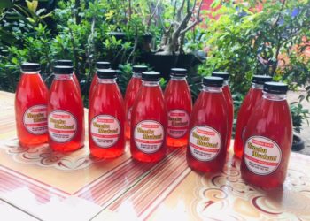 Mau Perkuat Imun Tubuh dan Jago di Ranjang? Konsumsi Markani, dan Seduhan Susu Kuda Liar + Madu