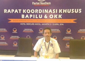 aminuddin nasdem
