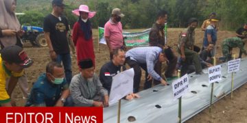 Tanam perdana