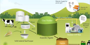 Biogas