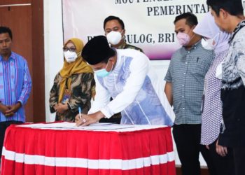 Jaga kestabilan harga jagung, Pemkab Dompu dan Bulog buat MoU