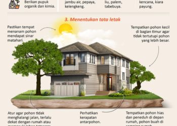 Tips menanam pohon di pekarangan
