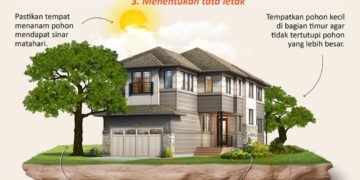 Tips menanam pohon di pekarangan