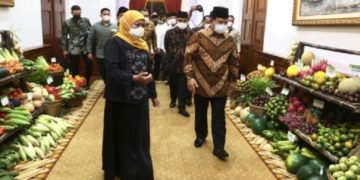 Politikus PPP bilang yang ingin Khofifah jadi Cawapres bukan hanya Prabowo
