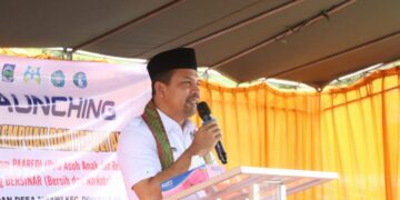 DRPPA upaya pemerintah daerah lindungi perempuan dan anak
