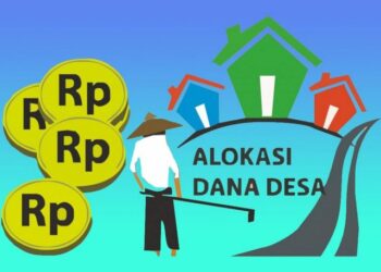 Pemdes diminta anggarkan pemulihan ODGJ