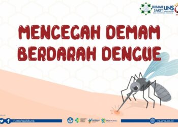 Pola hidup bersih dapat menekan demam berdarah