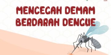 Pola hidup bersih dapat menekan demam berdarah