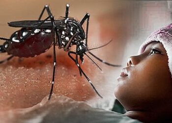 Awas DBD, warga Dompu diimbau jalankan 3M Plus