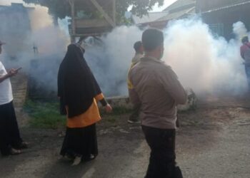 Tanggap DBD, PKM Dotim ambil langkah penanganan