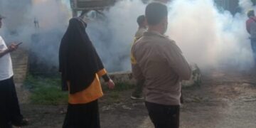 Tanggap DBD, PKM Dotim ambil langkah penanganan