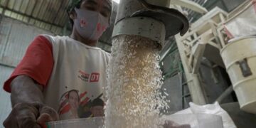 Penggilingan padi modern di Dompu masih studi kelaikan