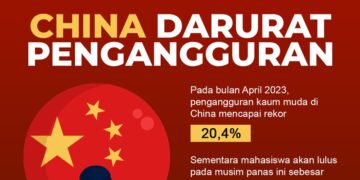 Pulau Rempang Adalah Sesajen Agar China Mau Buang Kotoran di Indonesia