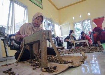 Gurih Kacang Mete Songgajah Sampai ke Eropa