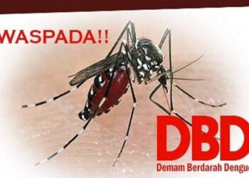 Hujan mulai turun waspada serangan demam berdarah