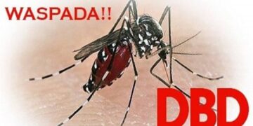 Hujan mulai turun waspada serangan demam berdarah