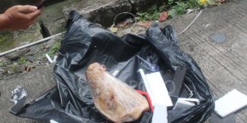 Tempo Mendapat Kiriman Kepala Babi