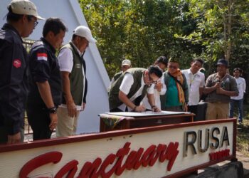 Wamenhut mendaki Tambora dan resmikan Sanctuary Rusa Timor