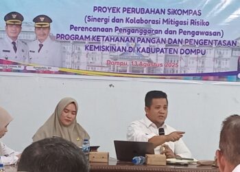 Peran media massa dalam sistem pengendalian intern pemerintah