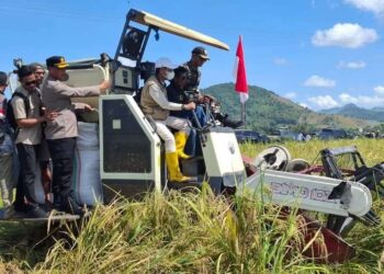 Pertanian Jadi Sektor Penyangga Ekonomi di Dompu, Pemkab Kuatkan Regulasi