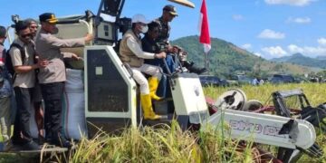 Pertanian Jadi Sektor Penyangga Ekonomi di Dompu, Pemkab Kuatkan Regulasi