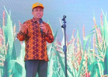 PDRD Dompu Terbesar Sektor Pertanian