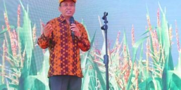 PDRD Dompu Terbesar Sektor Pertanian