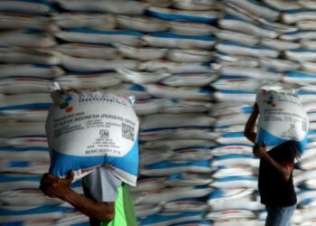 Stok Pupuk di Dompu Mulai Aman Setelah Cuaca Ekstrem