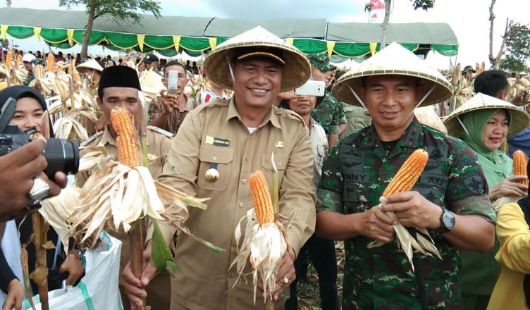 Pangdam Udayana Mayjend Benny S panen raya jagung di Dompu