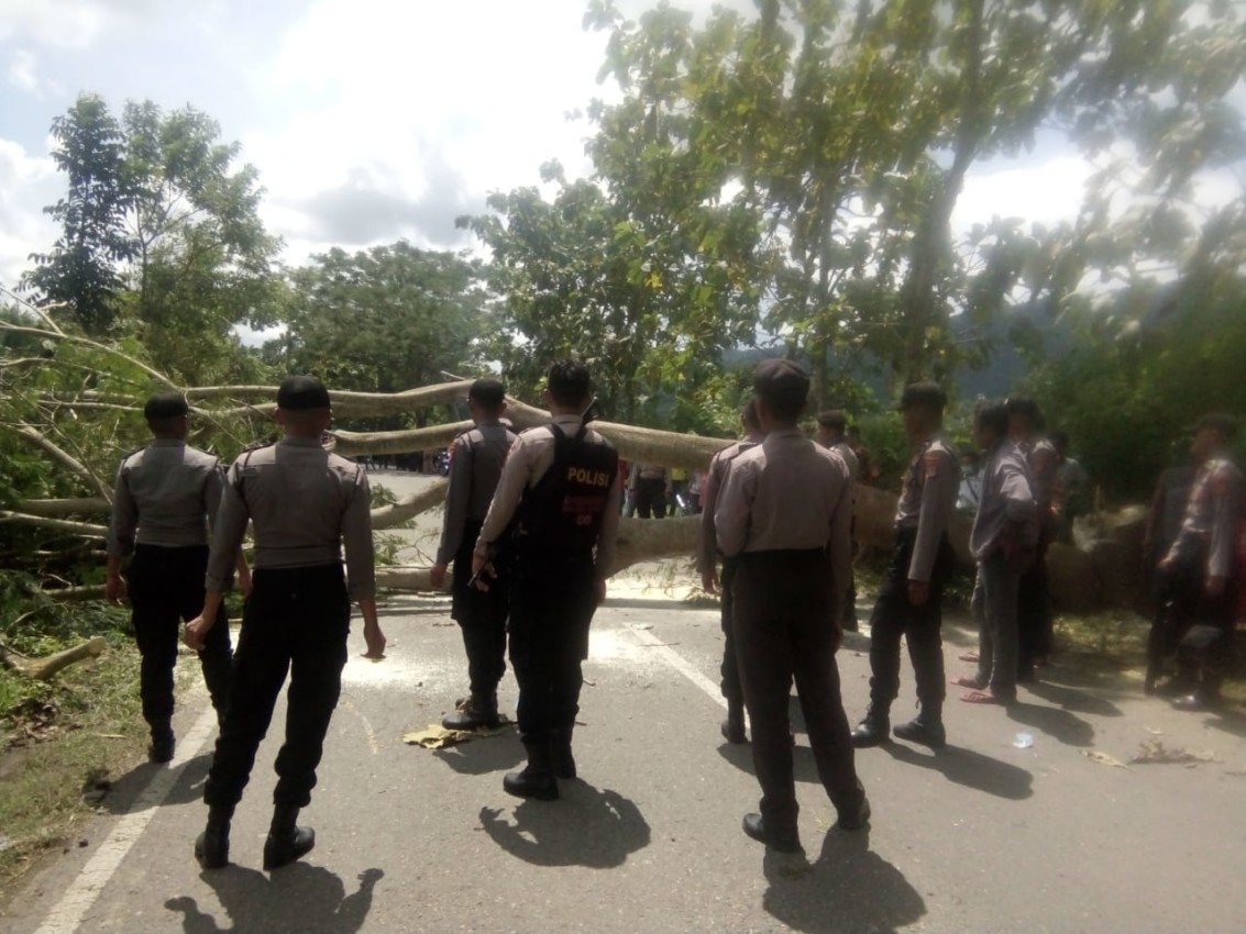 jalan ditutup pakai pohon