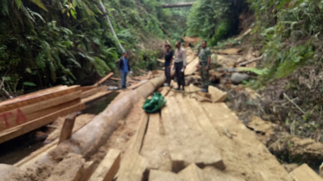 kayu kalanggo