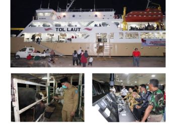 Peresmian tol laut