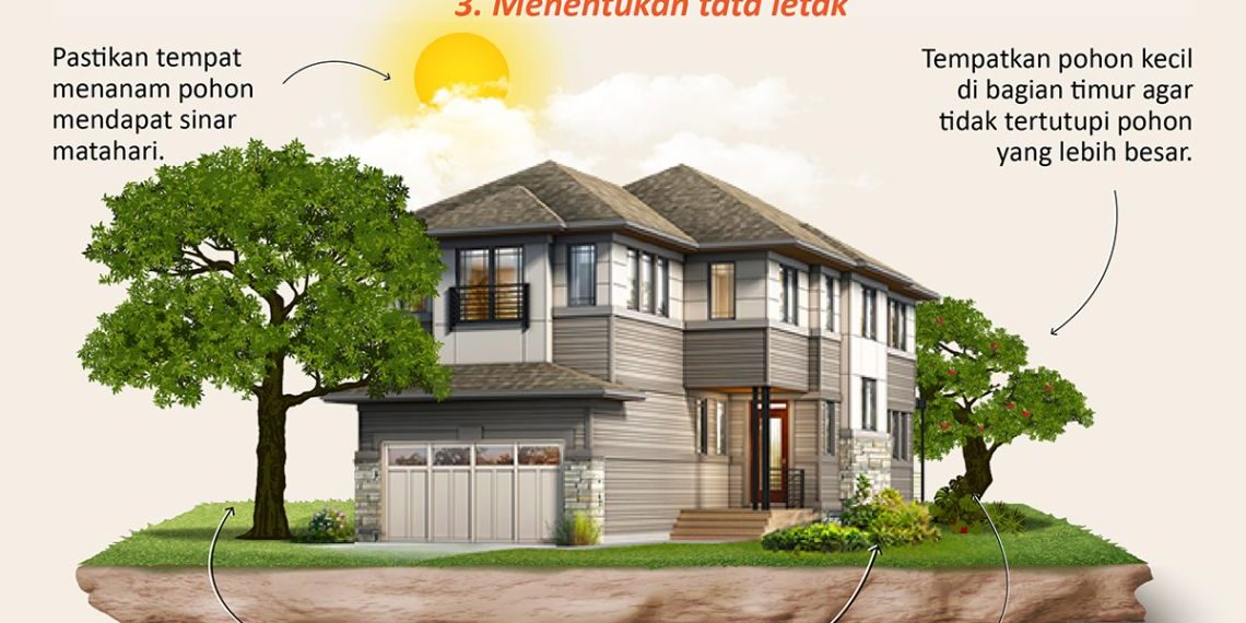 📷 Tips menanam pohon dirumah. (Antara).