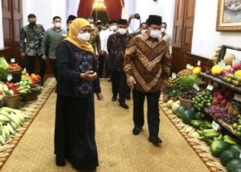 Politikus PPP bilang yang ingin Khofifah jadi Cawapres bukan hanya Prabowo