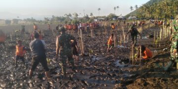 Tanam mangrove cegah abrasi pantai